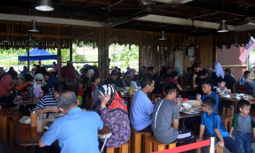 FEA11_28032018_KAMBING