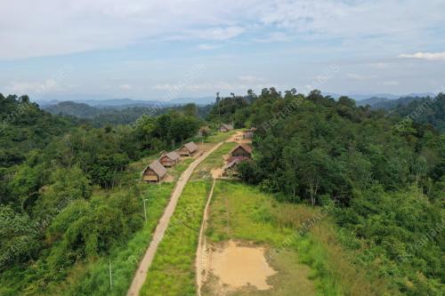 ORANG ASLI