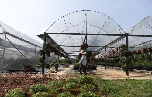 TAMAN_PERTANIAN