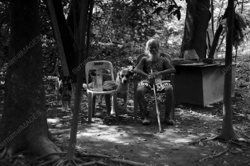 FEA11_30122015_ORANG_HUTAN