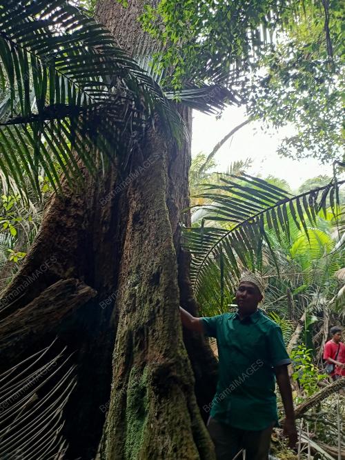 HSKLU_HUTAN