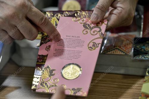 DATUK SERI MEER SADIK HABIB