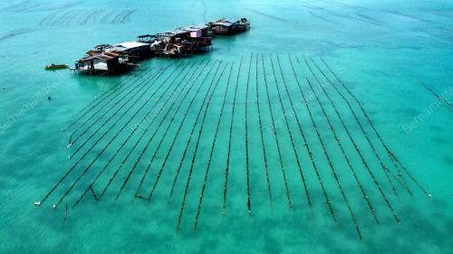 RUMPAI LAUT