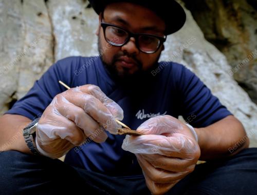 RANGKA MANUSIA PRASEJARAH BERUSIA 14,00 TAHUN