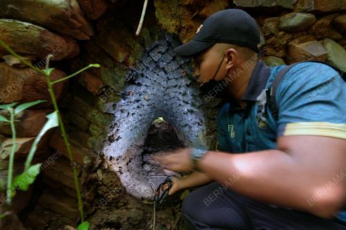 FEA13_27102021_EXPLORING_LANGKAWIâ_S