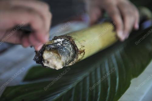 FEA14_24062017_LEMANG_LEREK