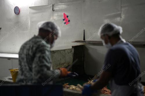 FEA14_27122018_SEBELIHAN_HALAL