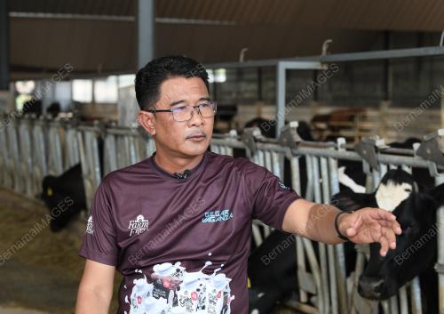 AZMI ZAINAL