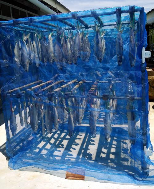 FEA16_23112017_IKAN_MASIN