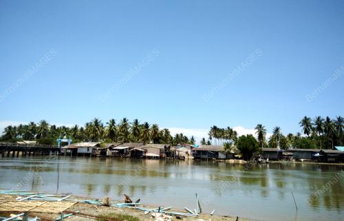 FEA17_23112017_IKAN_MASIN