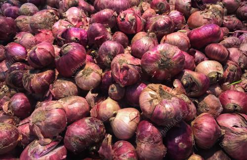 HARGA BAWANG_MERAH