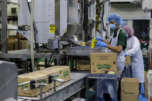 FGV HOLDINGS BHD