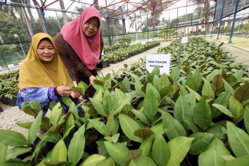 FEA19_08112017_KAMPUNG_HERBA