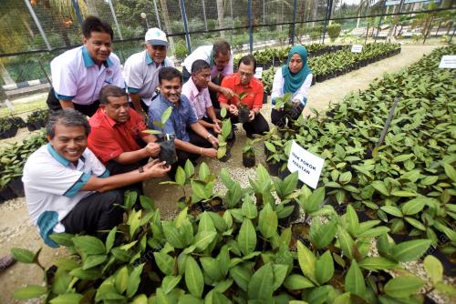 FEA20_08112017_KAMPUNG_HERBA