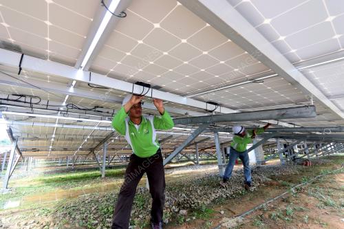 FEA21_13042017_SOLAR_FARM