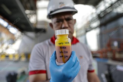 FGV HOLDINGS BHD