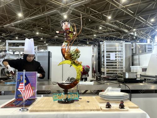 WORLD SKILLS (WCS) 02024