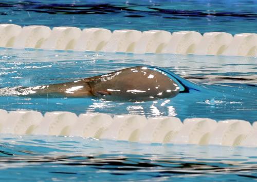 SUKAN PARALIMPIK PARIS 2024