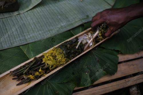 ORANG ASLI SUKU KENSIU