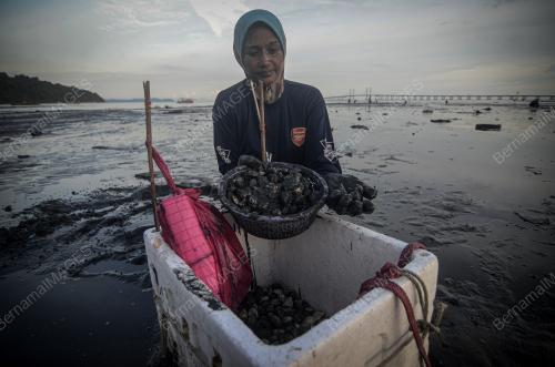PENCARI KEPAH