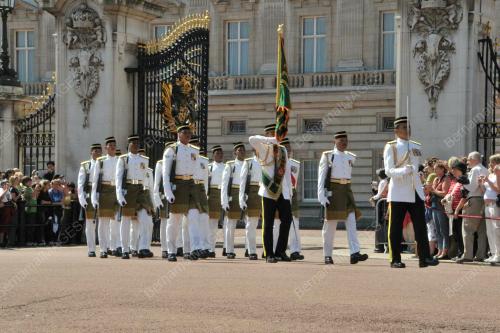RAMD QUEENS GUARD