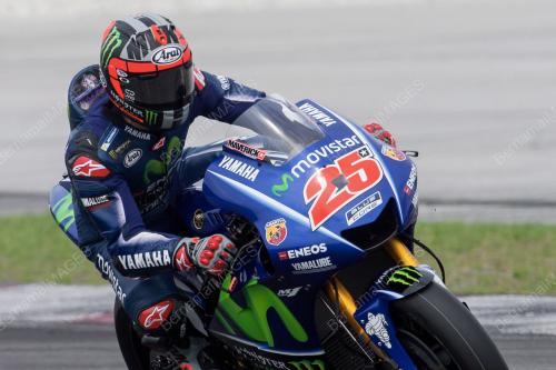 GP02_31012017_VINALES