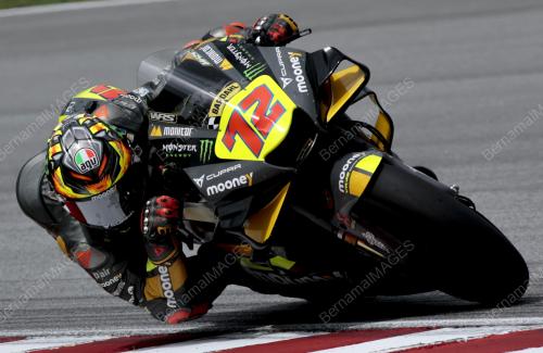 MOTOGP