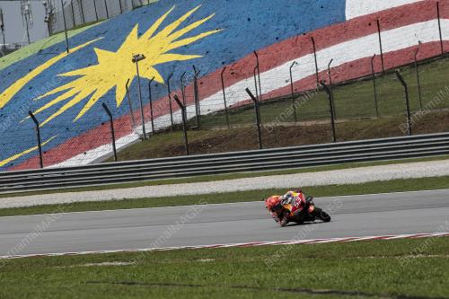 MOTOGP