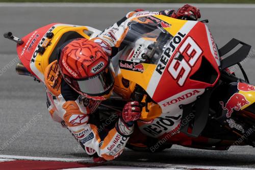MOTOGP