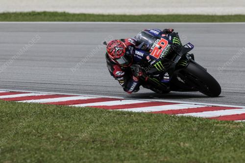 MOTOGP