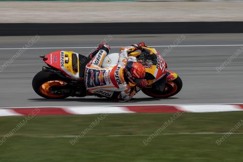 MOTOGP