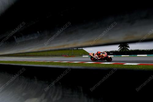 MOTOGP