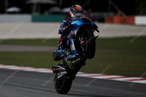 MOTOGP
