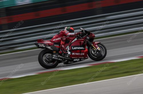 MOTOGP