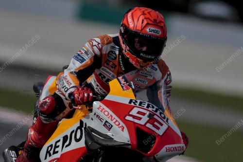 MOTOGP