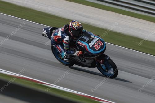 MOTOGP