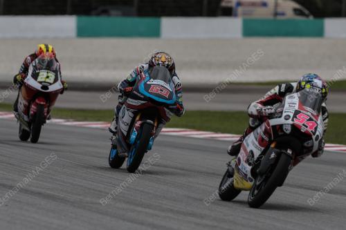 MOTOGP
