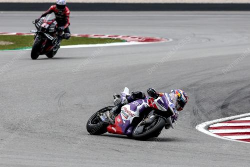 MOTOGP