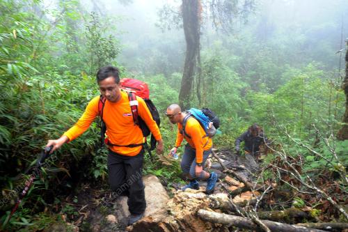 HAN03_08112014_MEDIA