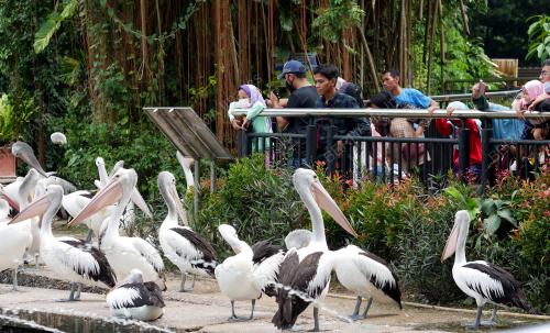 ZOO RAGUNAN