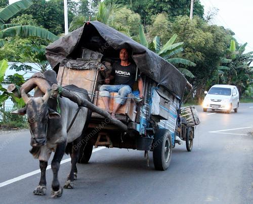 KERETA LEMBU