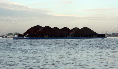 ARANG BATU DI KALIMANTAN