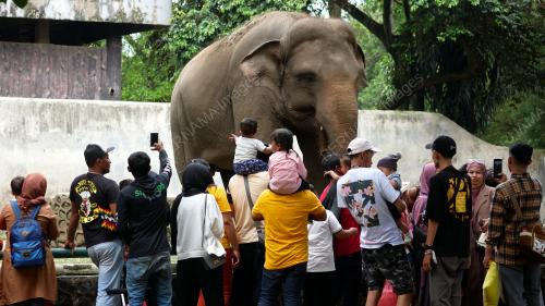 ZOO RAGUNAN