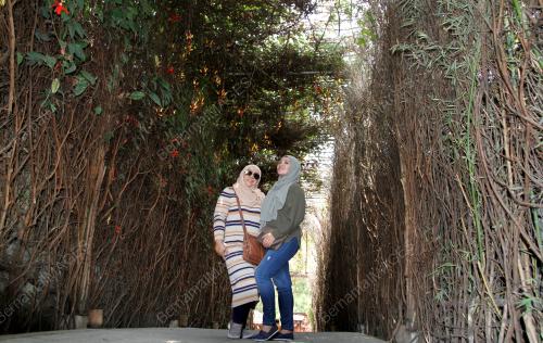 IDN03_16102018_MARIBAYA