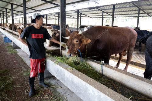PERSIAPAN SEMPENA HARI RAYA AIDILADHA