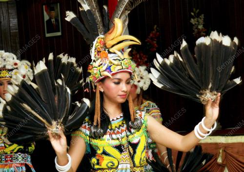 TARIAN DAYAK