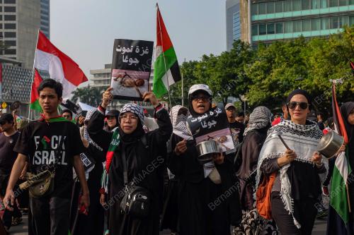 SOLIDARITI RAKYAT INDONESIA TERHADAP PALESTIN