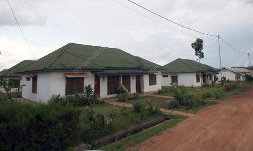 KELAPA SAWIT