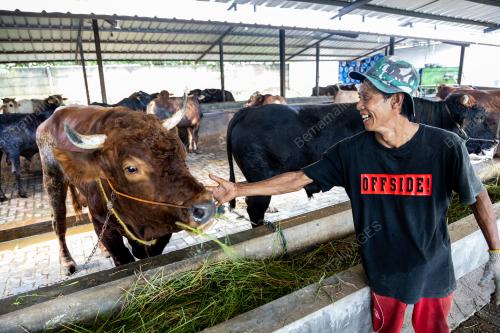 PERSIAPAN SEMPENA HARI RAYA AIDILADHA