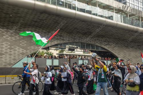 SOLIDARITI RAKYAT INDONESIA TERHADAP PALESTIN